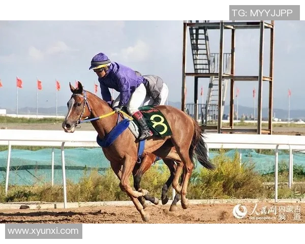 世界杯预选赛精彩对决蒙古队迎战文莱队期待激烈比赛与精彩进球 世界杯预选赛精彩对决蒙古队迎战文莱队期待激烈比赛与精彩进球