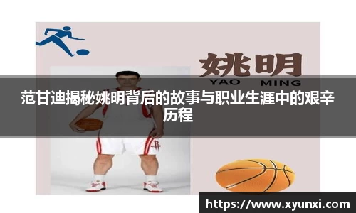 bsports官网